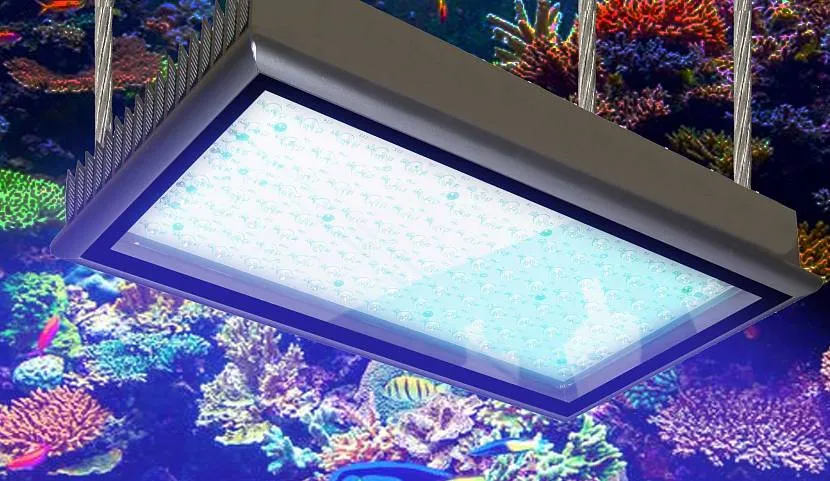 Габаритный светильник для большого аквариума