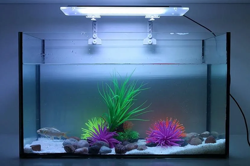 Одиночное освещение для аквариума