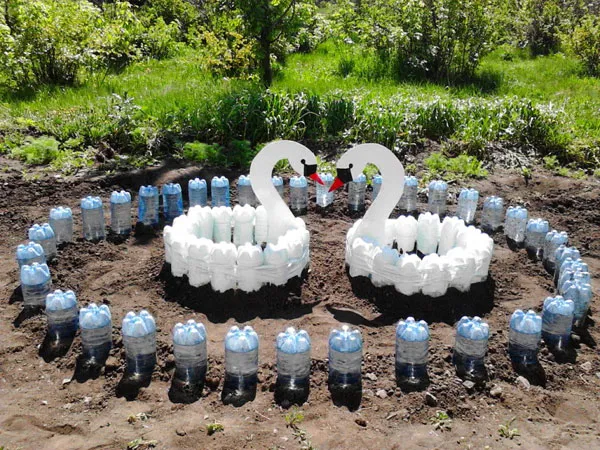 Лебеди в саду из пластиковых бутылок