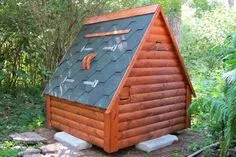 Bird House, Shed
