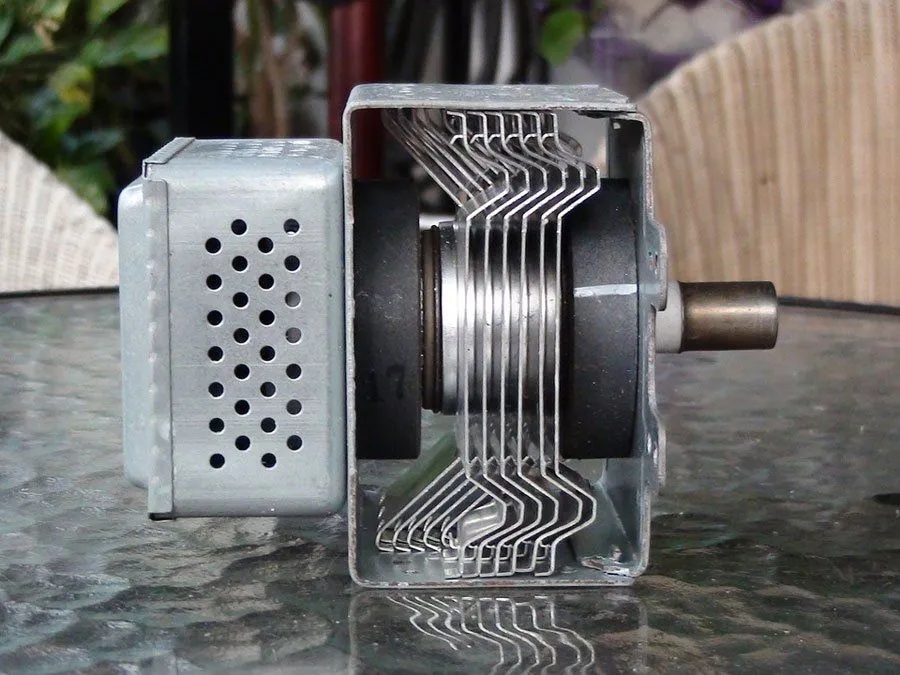 magnetron in the microwave