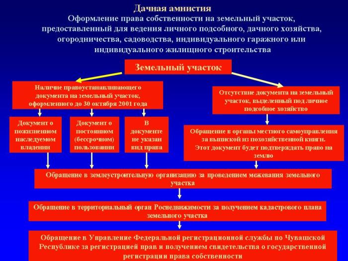 Оформление заброшенного дачного участка ...