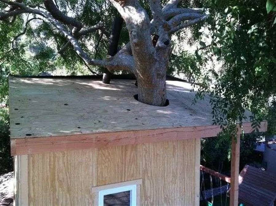 Как построить домик на дереве