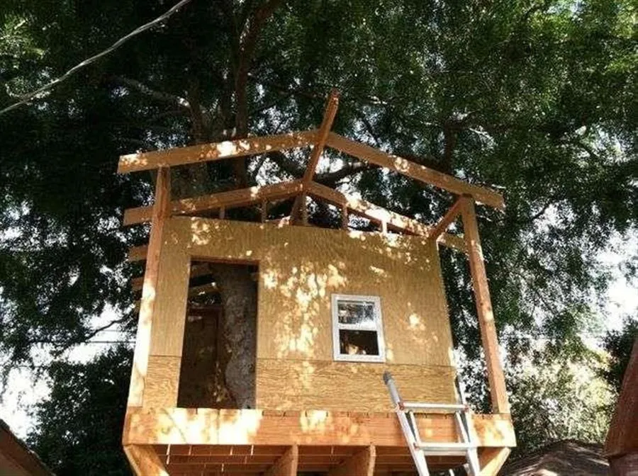 Как построить домик на дереве