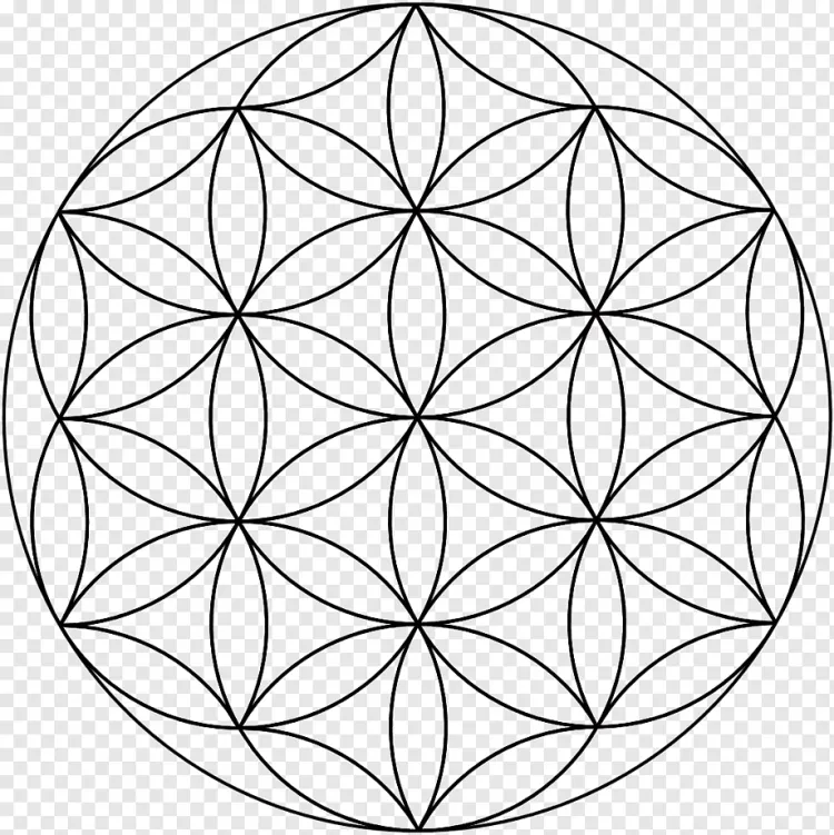Vesica Piscis цветок жизни