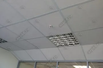 Потолок типа Армстронг Лилия на белой подвесной системе (1-2)