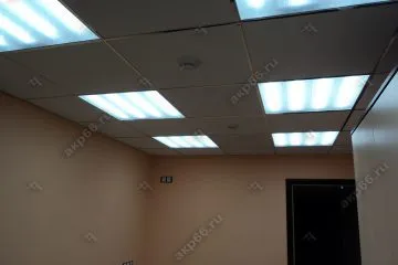 Потолок типа Армстронг Лилия на хромированной подвесной системе (каркас суперхром зеркальная) (1-15)