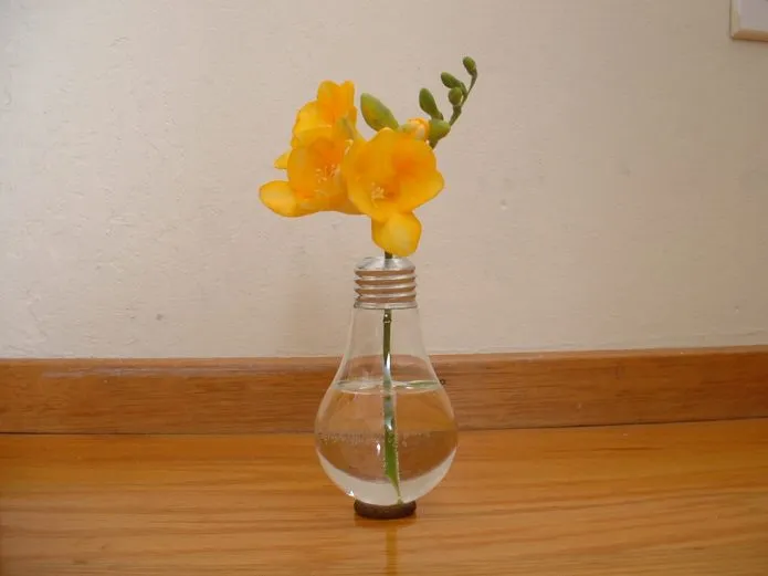 Оригинальная ваза из электрической лампочки