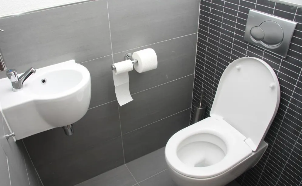 Небольшой туалет можно оформить довольно современно и стильно