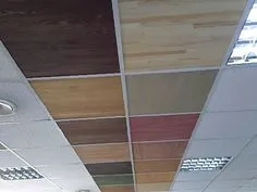 подвесной потолок армстронг Lab, Space, Floor Space, Labs, Labradors