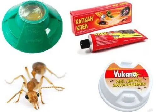 Ловушки для муравьев и других ползающих насекомых
