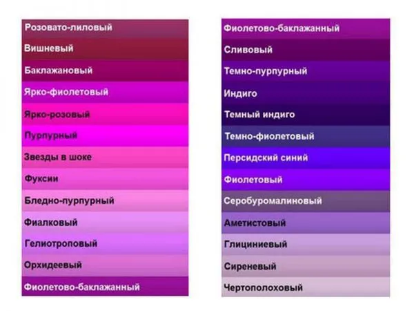 Названия различных оттенков фиолетового цвета